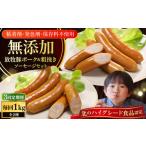 肉 ソーセージ 全3回定期便 結着剤 発色剤