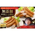 肉 ソーセージ 全12回定期便 結着剤 発色剤