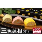 人参 大根 他根菜 れんこん レンコン 三色蓮根