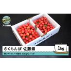 ショッピングふるさと納税 さくらんぼ ふるさと納税 果物類 さくらんぼ 山形県 大石田町 さくらんぼ 佐藤錦 秀L 1000g 1kg（バラ詰め） 2026年産 令和8年産 山形県産 ふるさと納税 果物 くだもの フ…