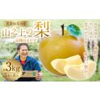 ふるさと納税 梨 岐阜県 美濃加茂市 《先行予約》 山之上の梨 （ 品種はおまかせ ） 約3kg（ 5〜8玉 ） 10000円 1万円 愛甘水・幸水・豊水・あきづき・秋のほ…