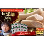 肉 ソーセージ 全6回定期便 訳あり 結着剤