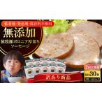 肉 ソーセージ 全2回定期便 訳あり 結着剤