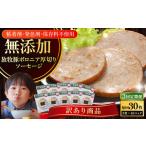 肉 ソーセージ 全3回定期便 訳あり 結着剤