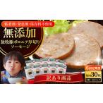肉 ソーセージ 全6回定期便 訳あり 結着剤