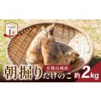 野菜類 令和9年産 京都山城産 朝掘りたけのこ