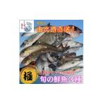 旬の鮮魚等 しずまえ 煮つけ用鮮魚ボックス