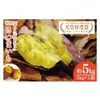 ふるさと納税 野菜類 サツマイモ 茨城県 行方市  2026年2月より順次発送 訳あり 行方かんしょ「紅まさり」さつまいも約5kg（洗い・不揃い・C品）｜さつまいも …