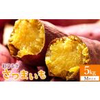 野菜類 サツマイモ 紅はるか さつまいも スイーツ