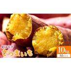 野菜類 サツマイモ 10kg