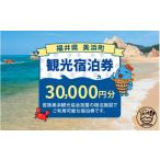 宿泊券 旅館 民宿 観光宿泊券 15 000円分