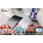 ふるさと納税 魚貝類 福井県 美浜町 訳あり 若狭湾の天然 ハマチ (ブリ 幼魚) 約450g (6~8切×1袋) 塩焼き 煮つけ用 下処理済み ブツ切り 生冷凍 だから人気 …