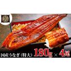 ふるさと納税 うなぎ 静岡県 島田市  No.5695-1769 うなぎ蒲焼 180g×4尾(720g) うなぎ ウナギ 鰻 蒲焼 蒲焼き冷凍 国産 大五 大五通商 静岡 島田市