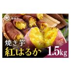 野菜類 サツマイモ 関商店 焼き芋 紅はるか 1.5kg
