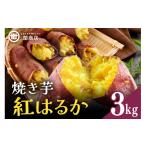 野菜類 サツマイモ 関商店 焼き芋 紅はるか 3kg