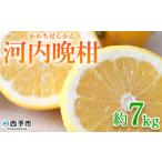 ふるさと納税 果物類 �