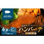 肉 ハンバーグ 海老沢精肉店 2カ月 連続 お届け
