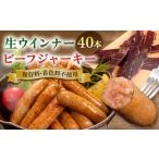 肉 ソーセージ 生ウインナー 40本