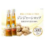 BI201 ジンジャー シロップ 250g