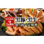餃子 3か月定期便 鹿児島黒豚 餃子とウインナー