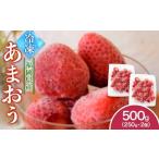 ふるさと納税 いちご 福岡県 大川市 福岡県産 冷凍あまおう500g(250g×2個)