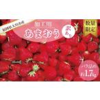 ふるさと納税 いちご 福岡県 大川市  2026年5月以降順次発送 訳あり加工用あまおういちご バラ詰め福岡県産 たっぷり約1.7kg 配送不可：北海道、沖縄県、離島