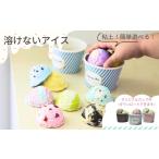 おうちで簡単に作れる食品サンプル 溶けないアイスキット