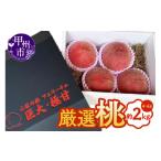 ふるさと納税 もも 山梨県 甲州市 厳選桃 4〜6玉 約2kg 2026年発送 （FLC）B-812 桃 もも モモ 令和8年発送 期間限定 山梨県産 甲州市 フルーツ 果物
