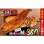 ふるさと納税 うなぎ 鹿児島県 志布志市  丑の日までに配送 日ノ本一の鰻の蒲焼き 大 2尾(計380g以上) b1-018-us 丑の日配送 2尾セット計380g (190g×2) 2026…