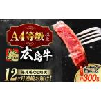 牛肉 サーロイン 全12回定期便 冷蔵 広島