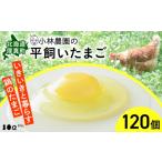 小林農園の平飼いたまご 無投薬 120個