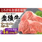 牛肉 サーロイン 全12回定期便 おおいた豊後牛