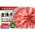 牛肉 サーロイン 全3回定期便 厳選部位 おおいた豊後牛