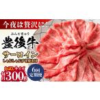 牛肉 サーロイン 全6回定期便 厳選部位 おおいた豊後牛