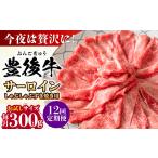牛肉 サーロイン 全12回定期便 厳選部位