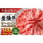 牛肉 サーロイン 全3回定期便 厳選部位 おおいた豊後牛