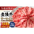 牛肉 サーロイン 全6回定期便 厳選部位 おおいた豊後牛