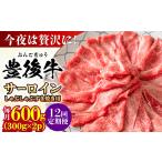 牛肉 サーロイン 全12回定期便 厳選部位