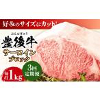 牛肉 サーロイン 全3回定期便 厳選部位 おおいた豊後牛