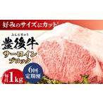 牛肉 サーロイン 全6回定期便 厳選部位 おおいた豊後牛