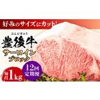 牛肉 サーロイン 全12回定期便 厳選部位