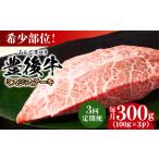 牛肉 ステーキ 全3回定期便 厳選希少部位