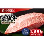 牛肉 ステーキ 全6回定期便 厳選希少部位