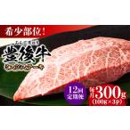牛肉 ステーキ 全12回定期便 厳選希少部位
