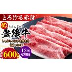牛肉 しゃぶしゃぶ 全12回定期便 訳あり