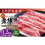 牛肉 しゃぶしゃぶ 全3回定期便 訳あり おおいた豊後牛