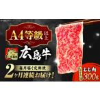 牛肉 モモ 全2回定期便 冷蔵 広島牛 もも肉