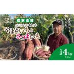 野菜類 サツマイモ 農家直送 直売所でも大