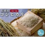 ふるさと納税 米 新潟