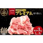 京丹波ぽーく プレミアム 切り落とし 1kg